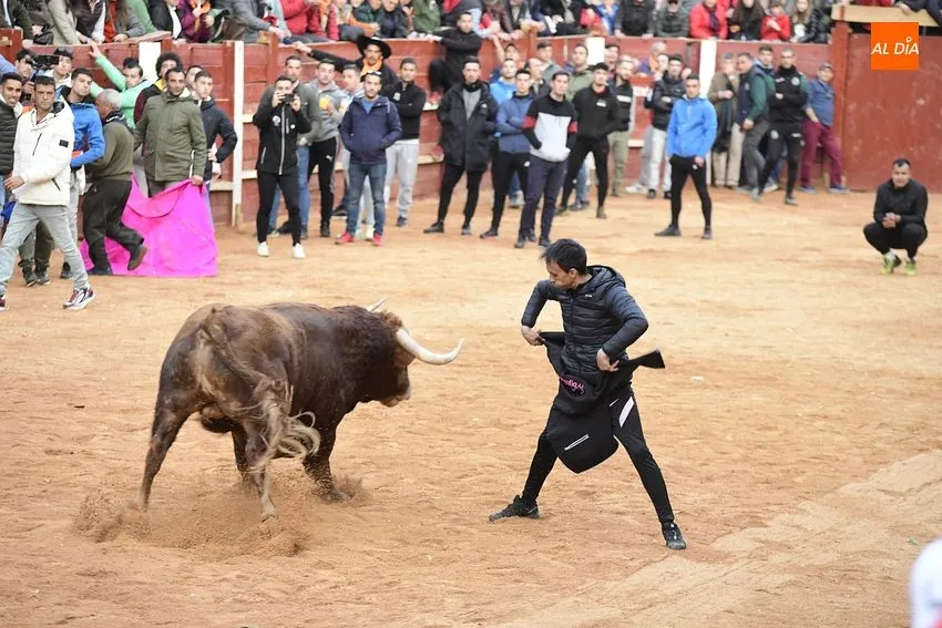 Foto 4 - Un fugaz desencierro completa una gran jornada de los astados de Villanueva