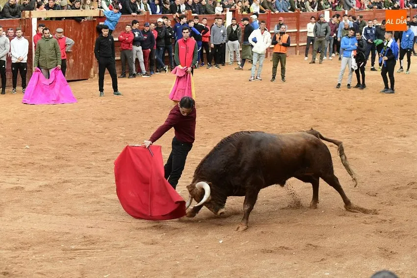 Foto 5 - Un fugaz desencierro completa una gran jornada de los astados de Villanueva