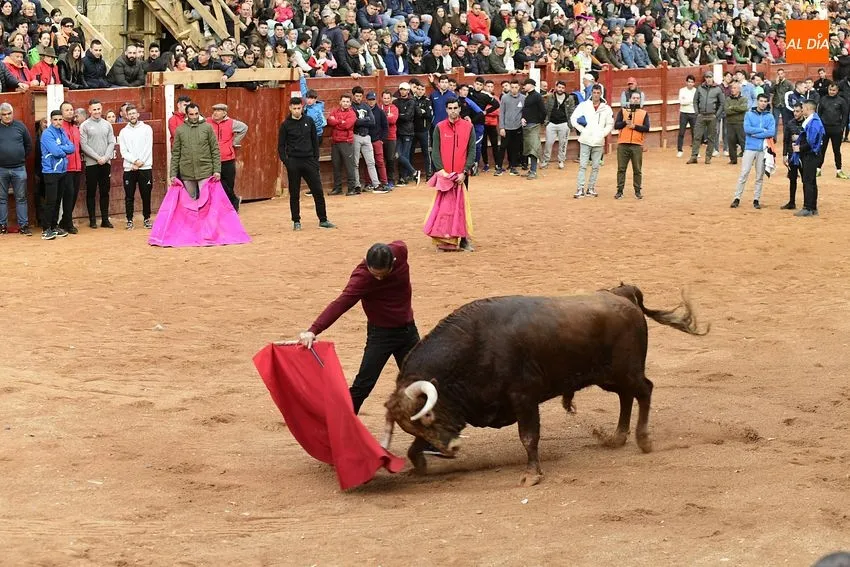 Foto 6 - Un fugaz desencierro completa una gran jornada de los astados de Villanueva