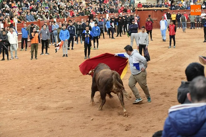 Foto 7 - Un fugaz desencierro completa una gran jornada de los astados de Villanueva