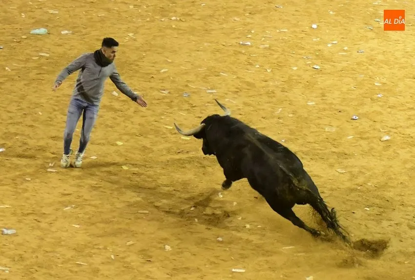 Foto 2 - Los toros de Jos&eacute; Cruz abren el fuego dando oportunidades a recortadores y maletillas