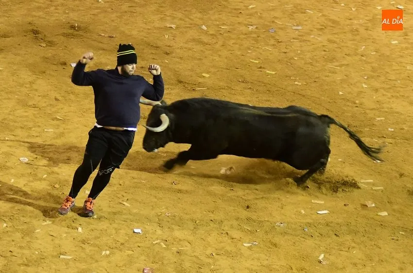 Foto 3 - Los toros de Jos&eacute; Cruz abren el fuego dando oportunidades a recortadores y maletillas
