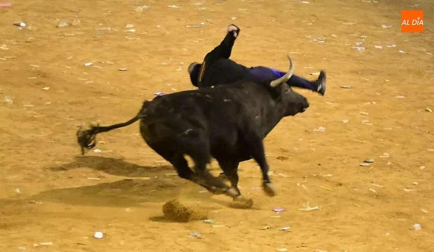 Foto 4 - Los toros de Jos&eacute; Cruz abren el fuego dando oportunidades a recortadores y maletillas