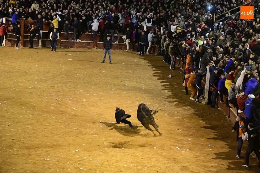 Foto 8 - Los toros de Jos&eacute; Cruz abren el fuego dando oportunidades a recortadores y maletillas