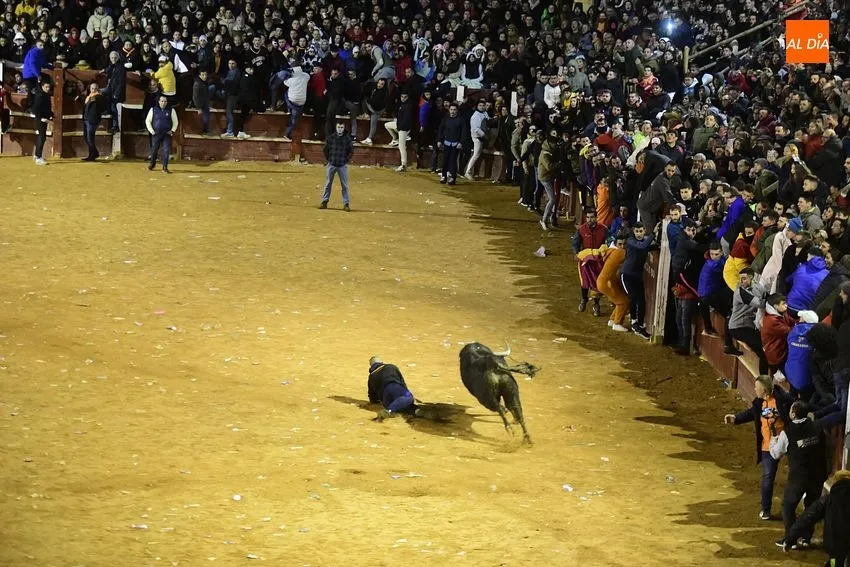Foto 9 - Los toros de Jos&eacute; Cruz abren el fuego dando oportunidades a recortadores y maletillas