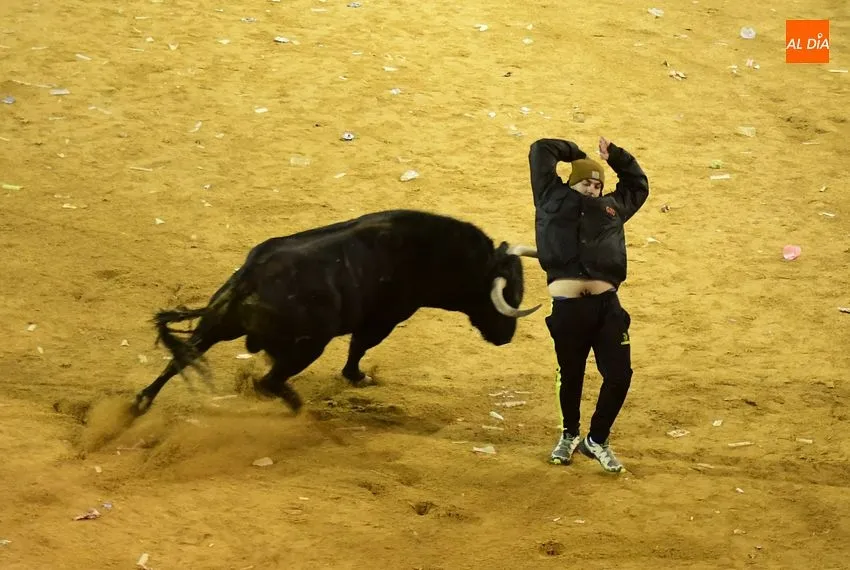 Foto 10 - Los toros de Jos&eacute; Cruz abren el fuego dando oportunidades a recortadores y maletillas