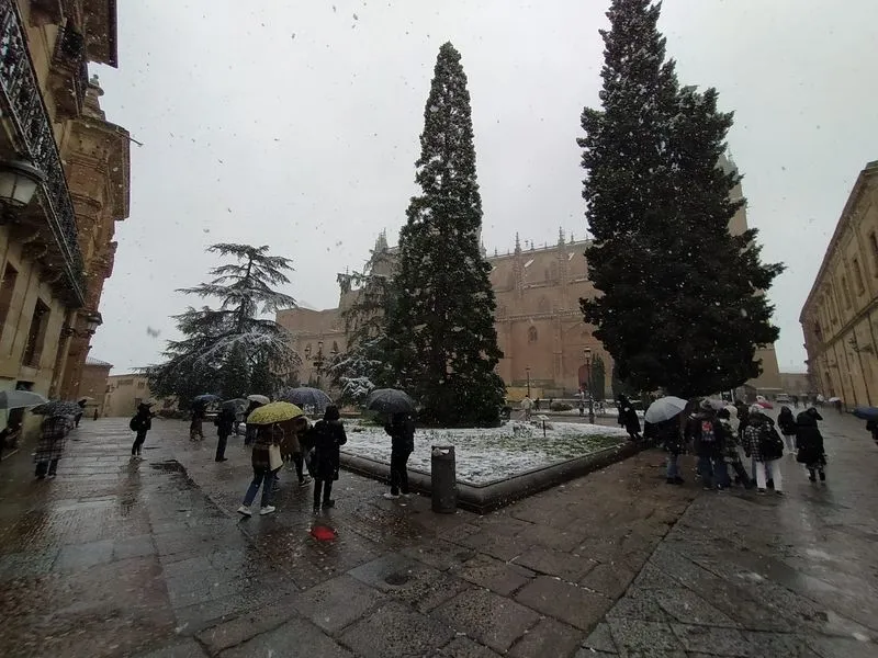 Nieve en la plaza de Anaya. Foto David Sañudo