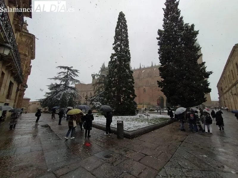 Nevada en la plaza de Anaya. Foto de David Sañudo