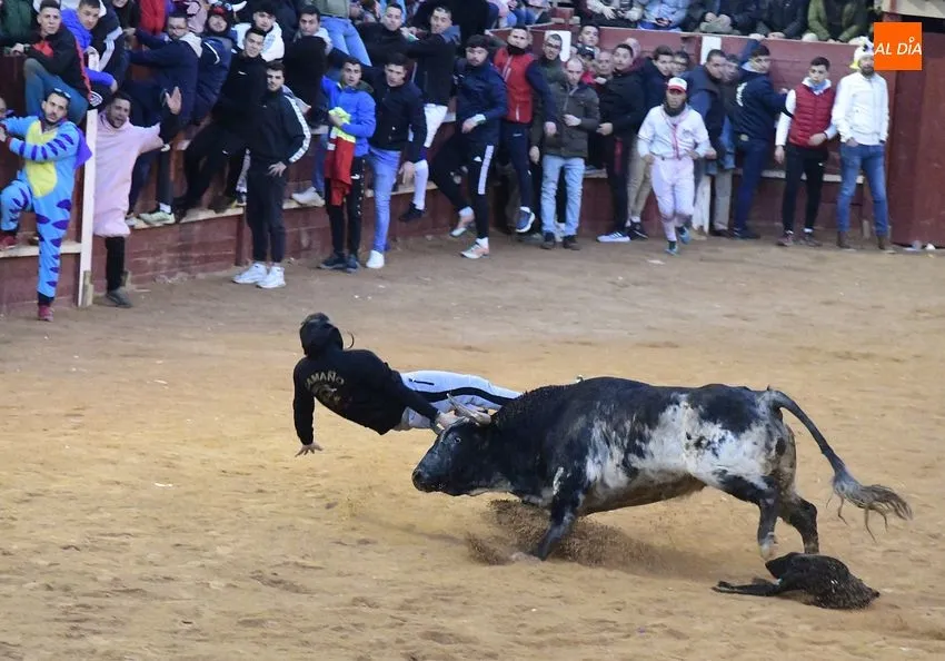 Momentos en las capeas del sábado de Carnaval en la tarde/ Fotos: Adrián M Pastor