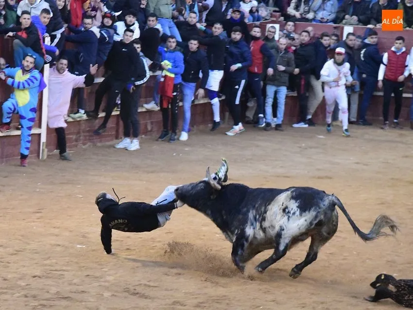 Momentos en las capeas del sábado de Carnaval en la tarde/ Fotos: Adrián M Pastor