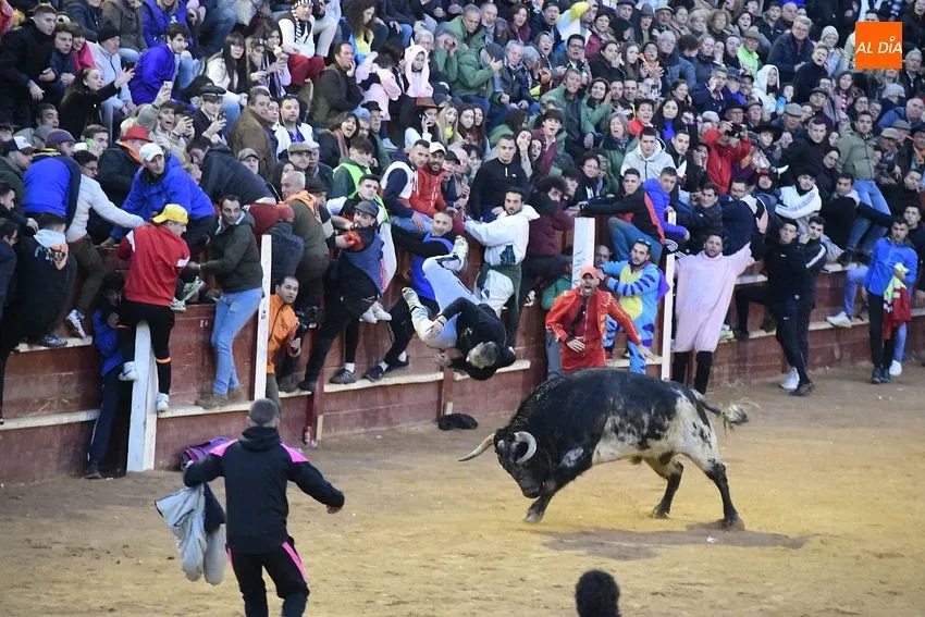 Momentos en las capeas del sábado de Carnaval en la tarde/ Fotos: Adrián M Pastor