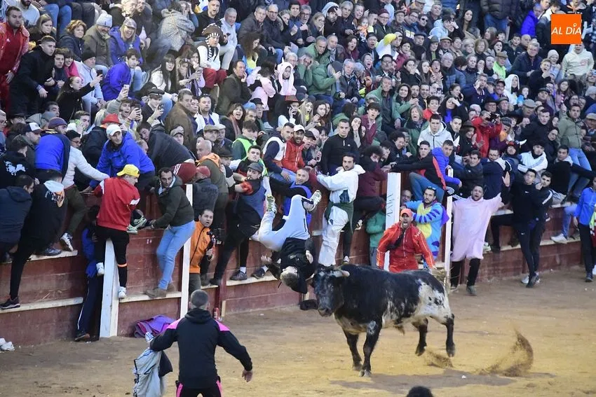 Momentos en las capeas del sábado de Carnaval en la tarde/ Fotos: Adrián M Pastor