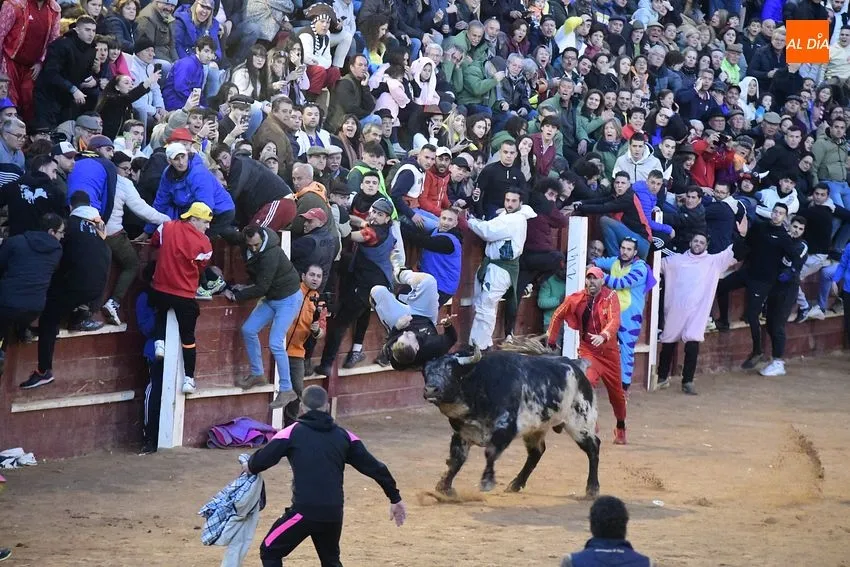 Momentos en las capeas del sábado de Carnaval en la tarde/ Fotos: Adrián M Pastor