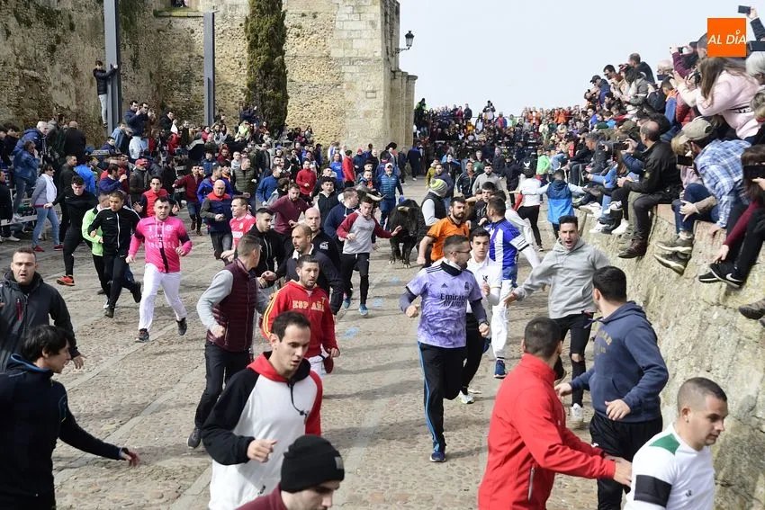 Foto 10 - Encierro limpio y correcto de los astados de El Pilar, entre los que hubo una baja de &uacute;ltima hora