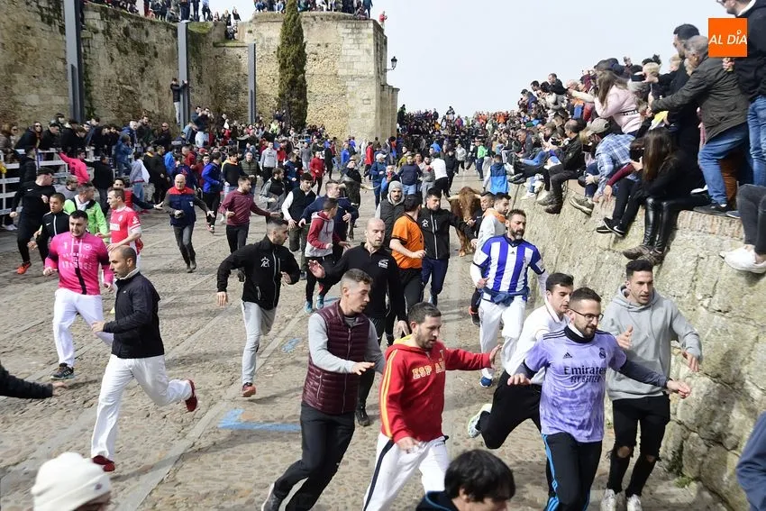 Foto 9 - Encierro limpio y correcto de los astados de El Pilar, entre los que hubo una baja de &uacute;ltima hora
