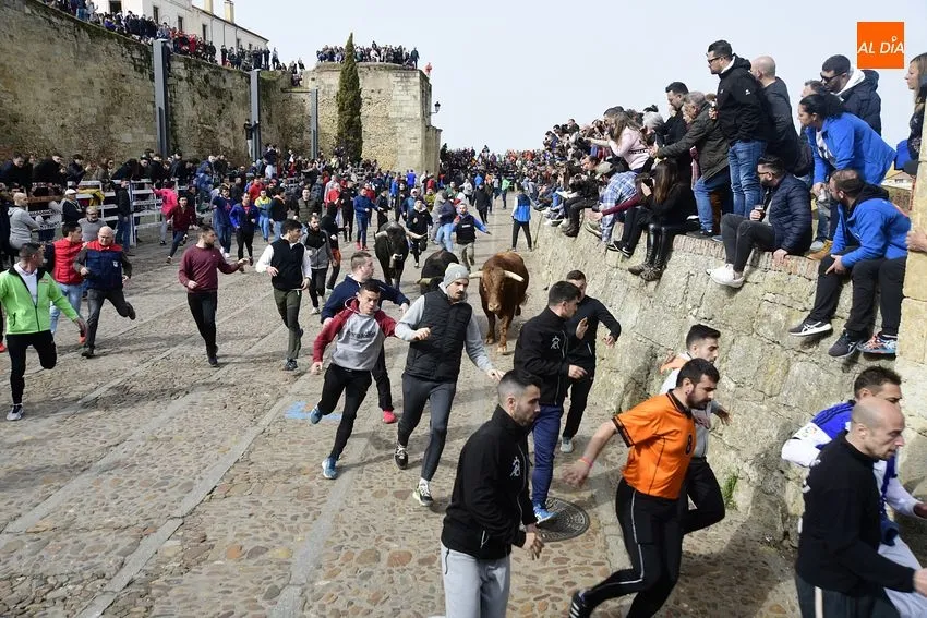 Foto 8 - Encierro limpio y correcto de los astados de El Pilar, entre los que hubo una baja de &uacute;ltima hora
