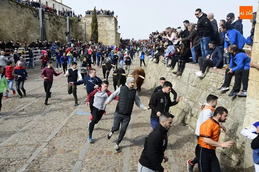 Foto 7 - Encierro limpio y correcto de los astados de El Pilar, entre los que hubo una baja de &uacute;ltima hora
