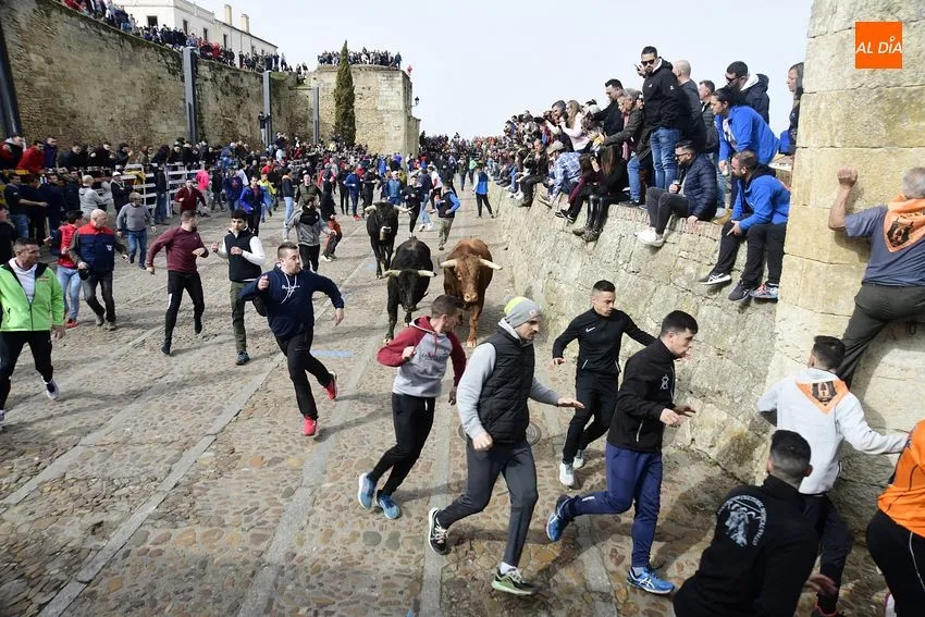 Foto 6 - Encierro limpio y correcto de los astados de El Pilar, entre los que hubo una baja de &uacute;ltima hora