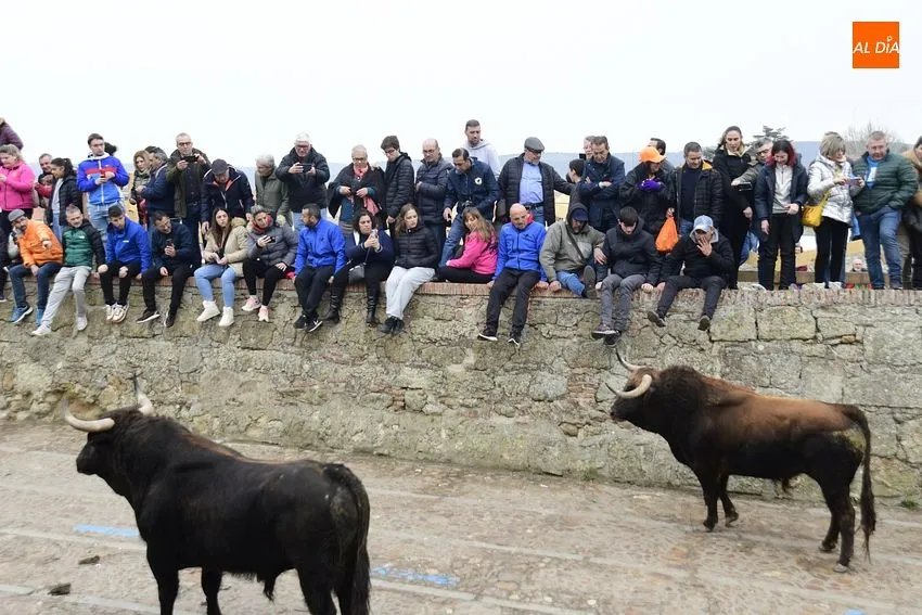 Foto 11 - Un toro de Torrealba engancha a una espectadora en el largo y peligroso &uacute;ltimo encierro