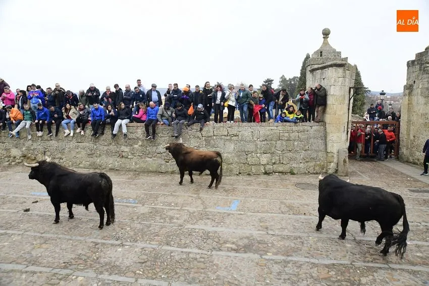 Foto 10 - Un toro de Torrealba engancha a una espectadora en el largo y peligroso &uacute;ltimo encierro