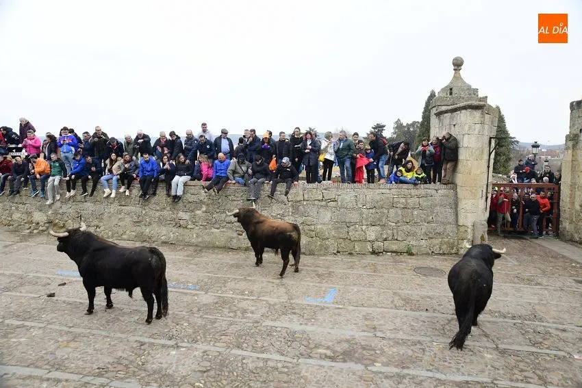 Foto 9 - Un toro de Torrealba engancha a una espectadora en el largo y peligroso &uacute;ltimo encierro