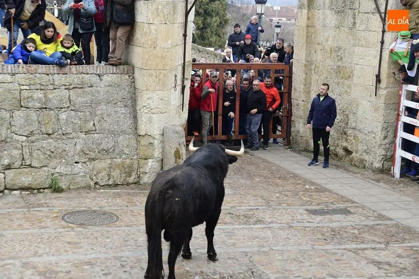 Foto 8 - Un toro de Torrealba engancha a una espectadora en el largo y peligroso &uacute;ltimo encierro