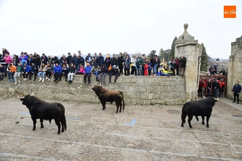 Foto 7 - Un toro de Torrealba engancha a una espectadora en el largo y peligroso &uacute;ltimo encierro