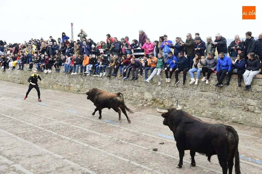 Foto 6 - Un toro de Torrealba engancha a una espectadora en el largo y peligroso &uacute;ltimo encierro