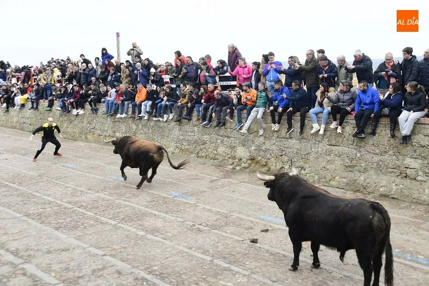 Foto 5 - Un toro de Torrealba engancha a una espectadora en el largo y peligroso &uacute;ltimo encierro