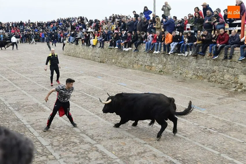 Foto 3 - Un toro de Torrealba engancha a una espectadora en el largo y peligroso &uacute;ltimo encierro