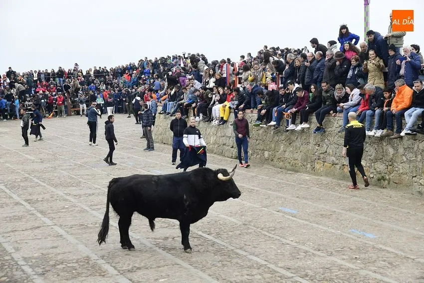 Foto 2 - Un toro de Torrealba engancha a una espectadora en el largo y peligroso &uacute;ltimo encierro