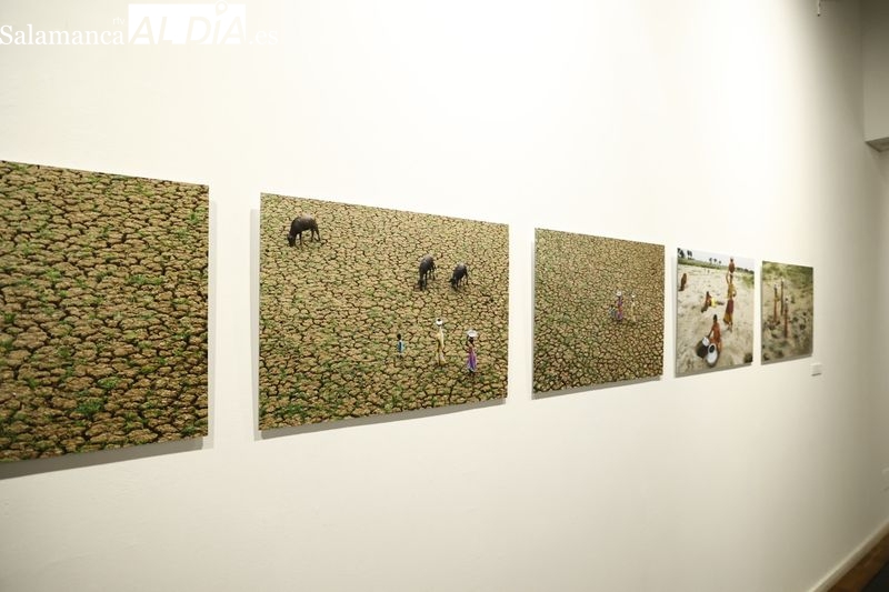 Exposición 'Transversalidades – Fotografía sin Fronteras' en el Museo de Salamanca. Foto de David Sañudo