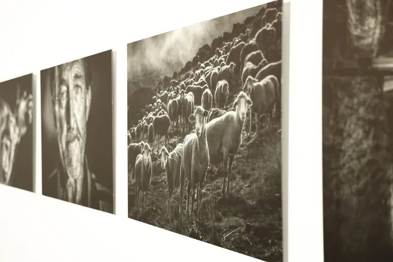 Exposición 'Transversalidades – Fotografía sin Fronteras' en el Museo de Salamanca. Foto de David Sañudo