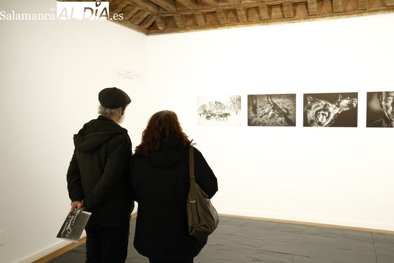 Exposición 'Transversalidades – Fotografía sin Fronteras' en el Museo de Salamanca. Foto de David Sañudo