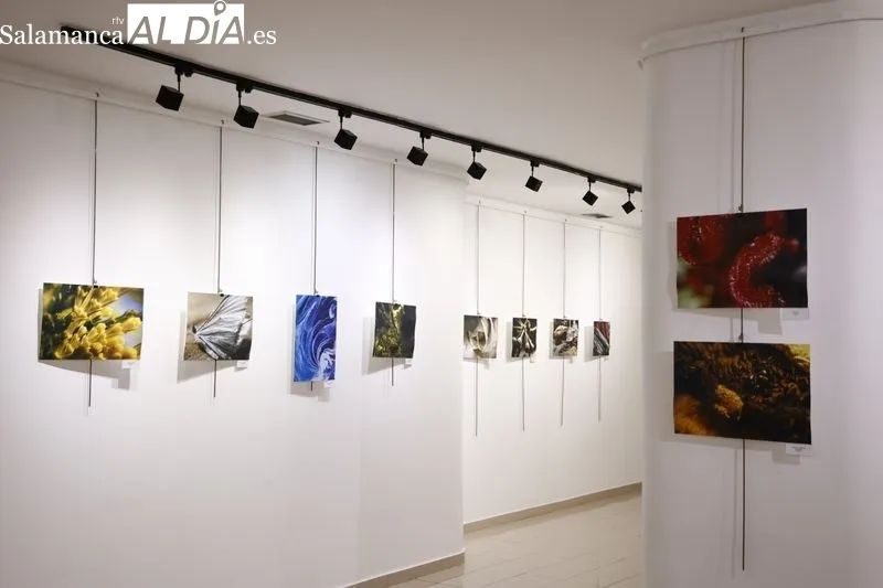 Exposición de Victoria Corral Elisha en el Espacio Joven. Foto de David Sañudo
