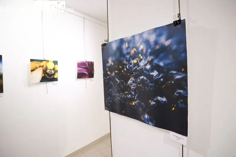 Exposición de Victoria Corral Elisha en el Espacio Joven. Foto de David Sañudo