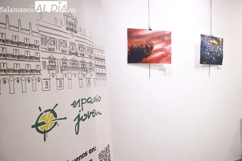 Exposición de Victoria Corral Elisha en el Espacio Joven. Foto de David Sañudo