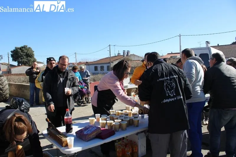 Foto 7 - Sieteiglesias disfruta de su fiesta tradicional de la matanza