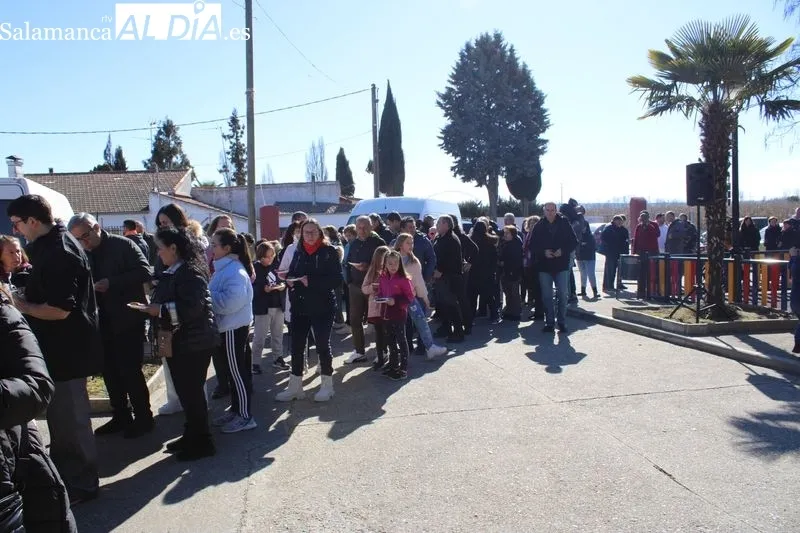 Foto 5 - Sieteiglesias disfruta de su fiesta tradicional de la matanza
