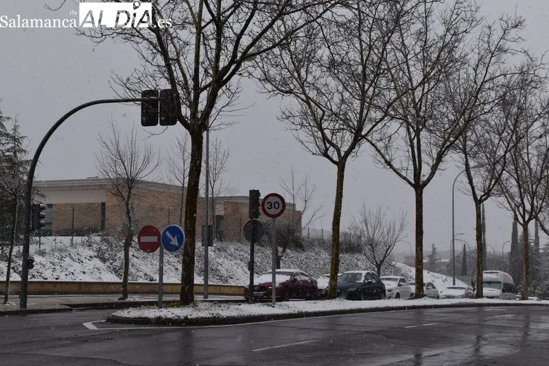 Efectos de la nevada junto al depósito de la Chinchibarra. Foto de Vanesa Martins