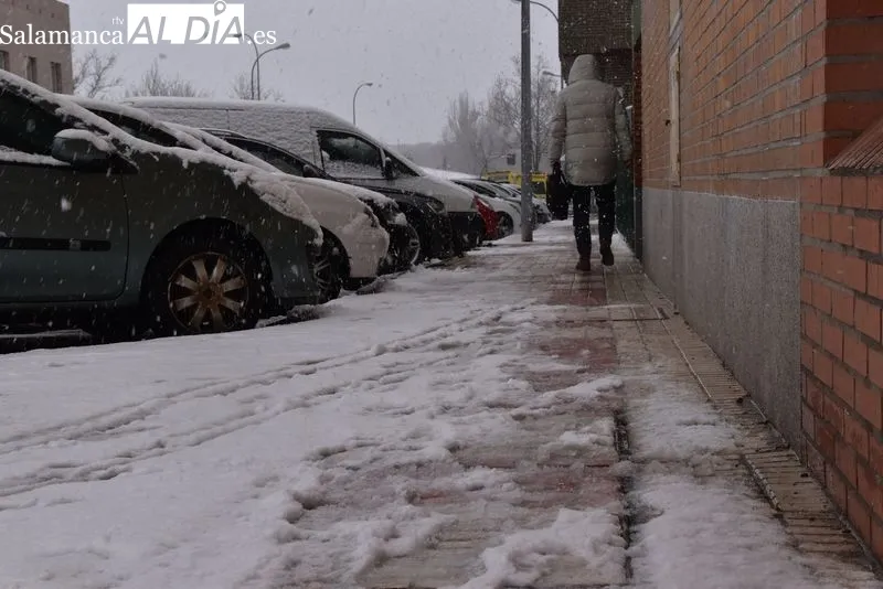 Efectos de la nevada junto al depósito de la Chinchibarra. Foto de Vanesa Martins