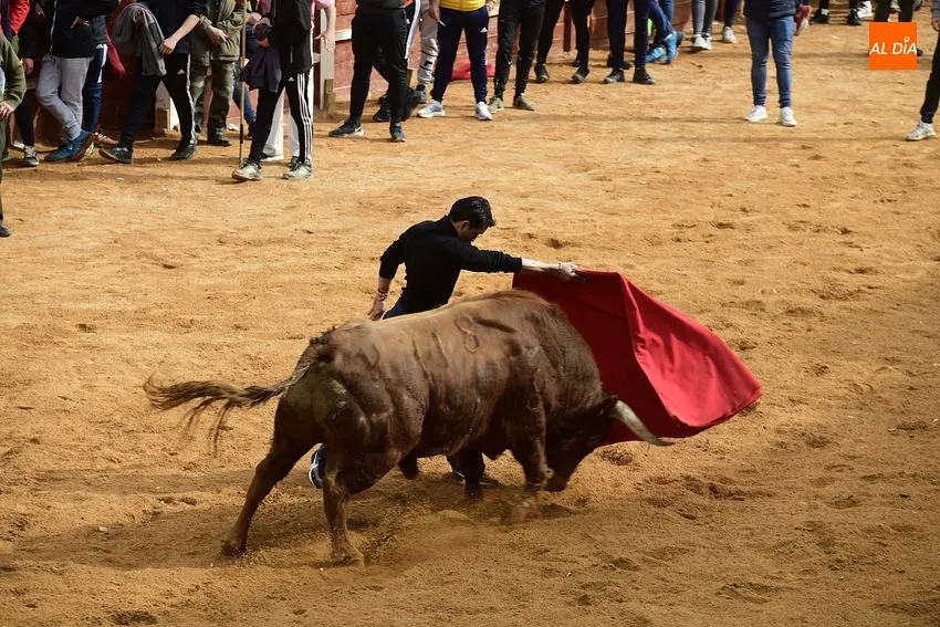 Foto 11 - Sa&uacute;l &lsquo;El Torero B&eacute;tico&rsquo;, gran animador de la entretenida capea matinal