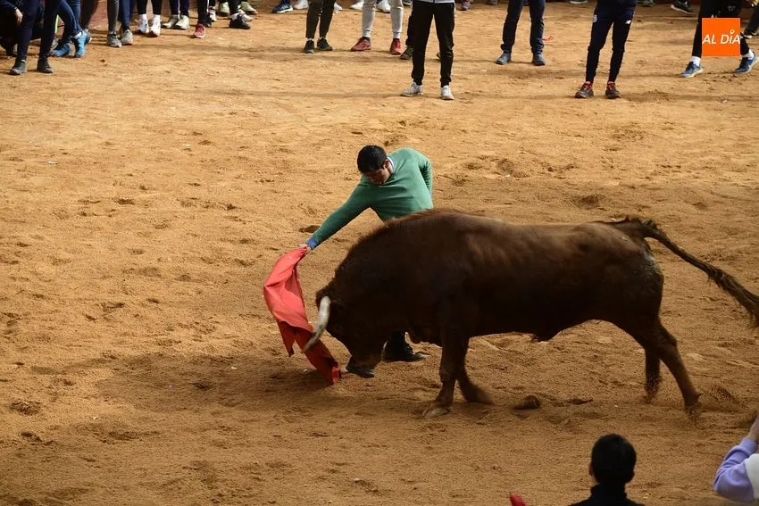 Foto 10 - Sa&uacute;l &lsquo;El Torero B&eacute;tico&rsquo;, gran animador de la entretenida capea matinal