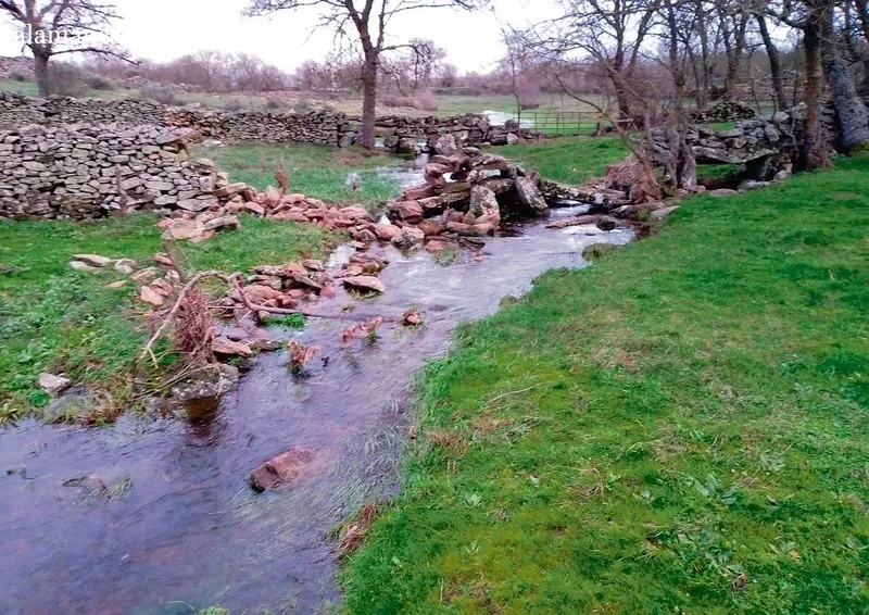 Los daños ocasionados por las lluvias pusieron contra las cuerdas a muchos ganaderos por no poder acceder al ganado en sus parcelas / ESTER CORREDERA