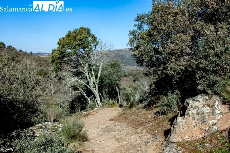 Pozo Airón. Foto de Manuel Lamas
