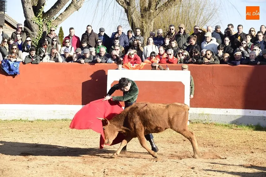 Semifinal Bolsín Taurino en Ciudad Rodrigo/ Fotos: Adrián M.Pastor