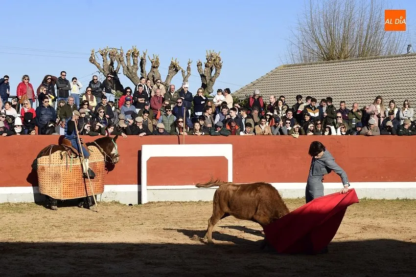 Semifinal Bolsín Taurino en Ciudad Rodrigo/ Fotos: Adrián M.Pastor