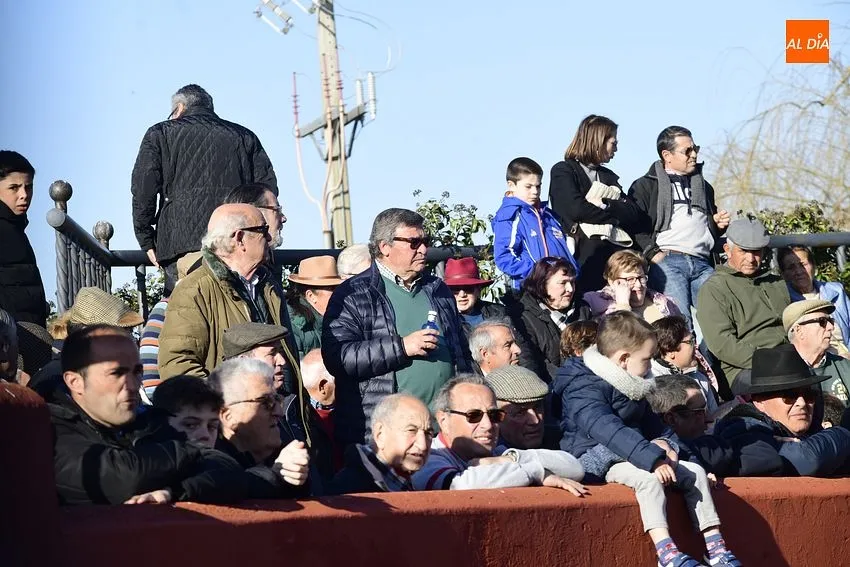 Momentos de la semifinal del Bolsín Taurino mirobrigense/ Fotos: Adrián M.Pastor