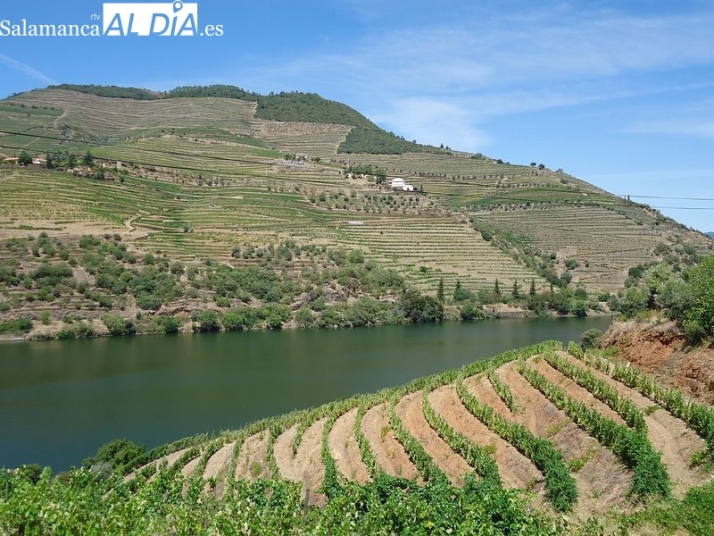 Somos todos Douro, la cultura del vino en una de las regiones más vinícolas del mundo