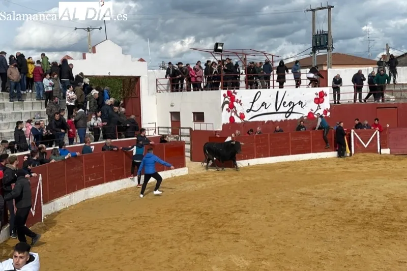 El encierro de las fiestas del Toro del Voto 2023 ya tiene astados elegidos. Archivo